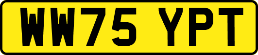 WW75YPT