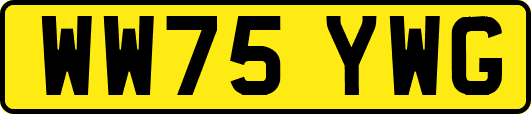 WW75YWG