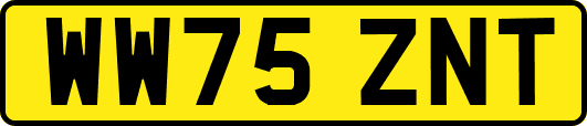 WW75ZNT