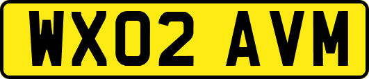 WX02AVM
