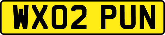 WX02PUN