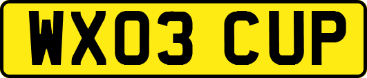 WX03CUP