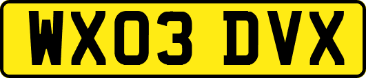 WX03DVX