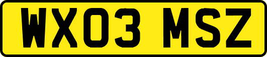 WX03MSZ