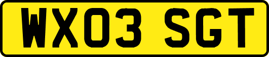 WX03SGT