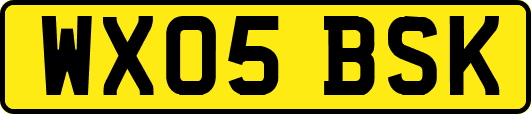 WX05BSK
