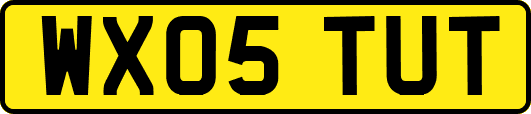 WX05TUT