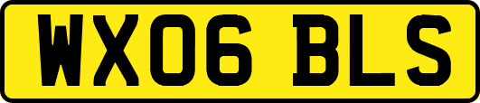 WX06BLS