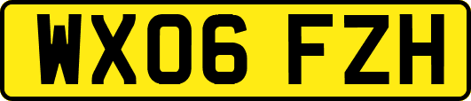 WX06FZH