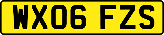 WX06FZS