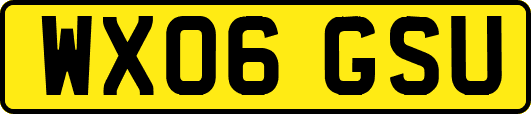 WX06GSU