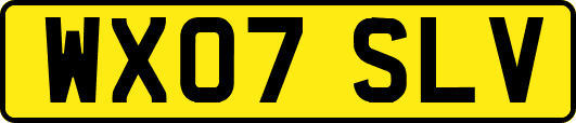 WX07SLV