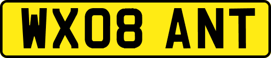 WX08ANT