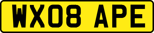 WX08APE
