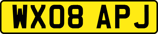 WX08APJ