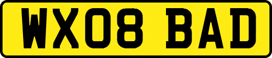 WX08BAD