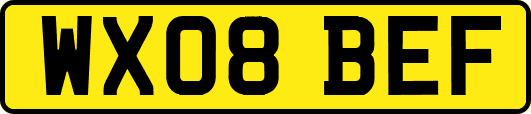 WX08BEF