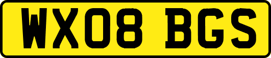 WX08BGS