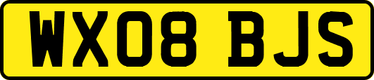 WX08BJS