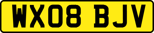 WX08BJV