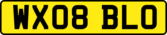 WX08BLO