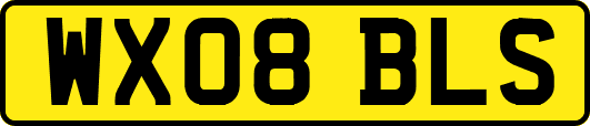 WX08BLS