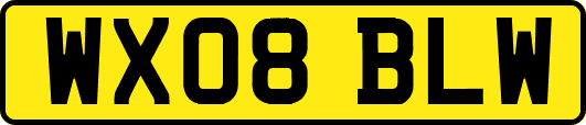 WX08BLW