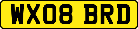 WX08BRD