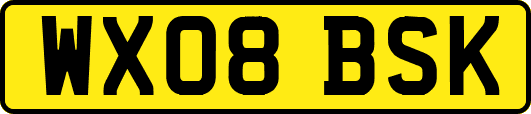 WX08BSK