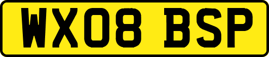 WX08BSP
