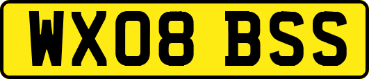 WX08BSS