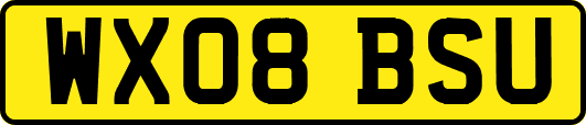 WX08BSU