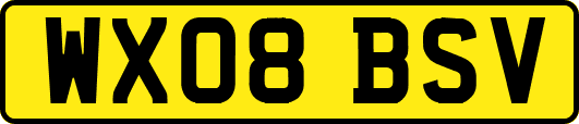 WX08BSV