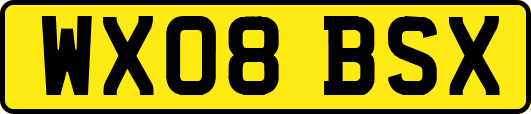 WX08BSX