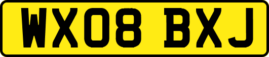 WX08BXJ