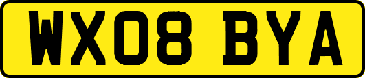 WX08BYA