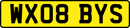 WX08BYS