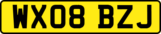 WX08BZJ
