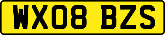 WX08BZS