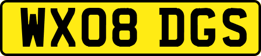 WX08DGS
