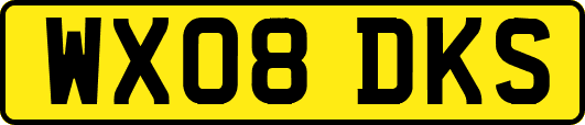 WX08DKS