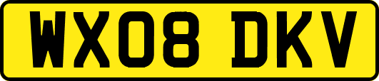 WX08DKV