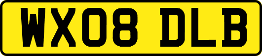WX08DLB
