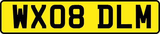 WX08DLM