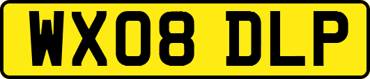 WX08DLP