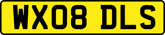 WX08DLS