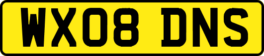 WX08DNS