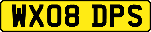 WX08DPS