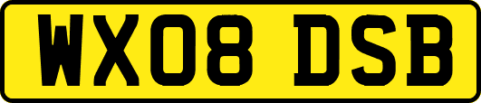 WX08DSB