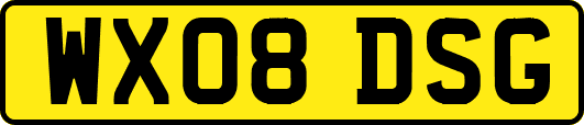 WX08DSG